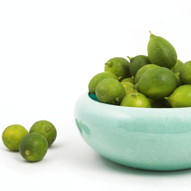Key Limes (12 Seeded Key Limes) – Available to ship to all 50 states