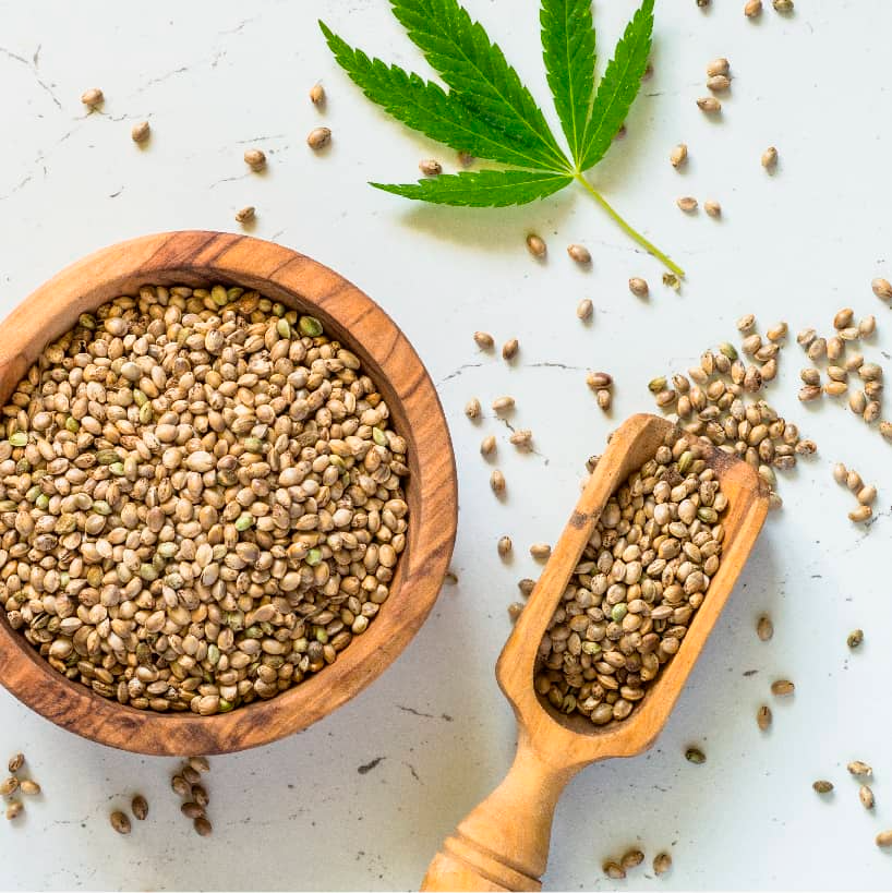 Hemp Seeds