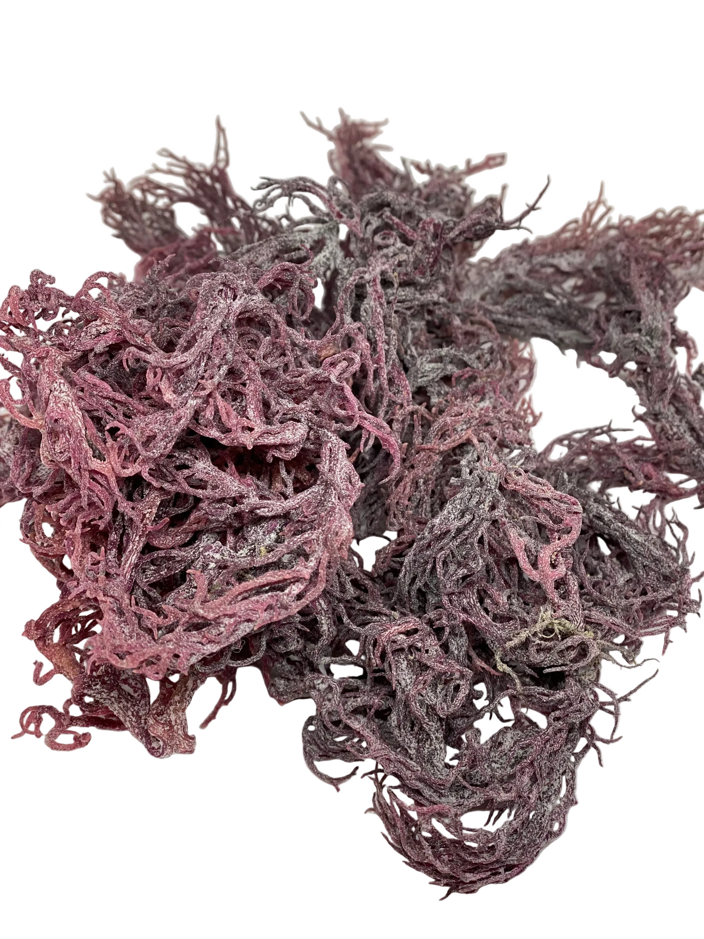 Purple Seamoss (Fresh Ocean-Harvested)