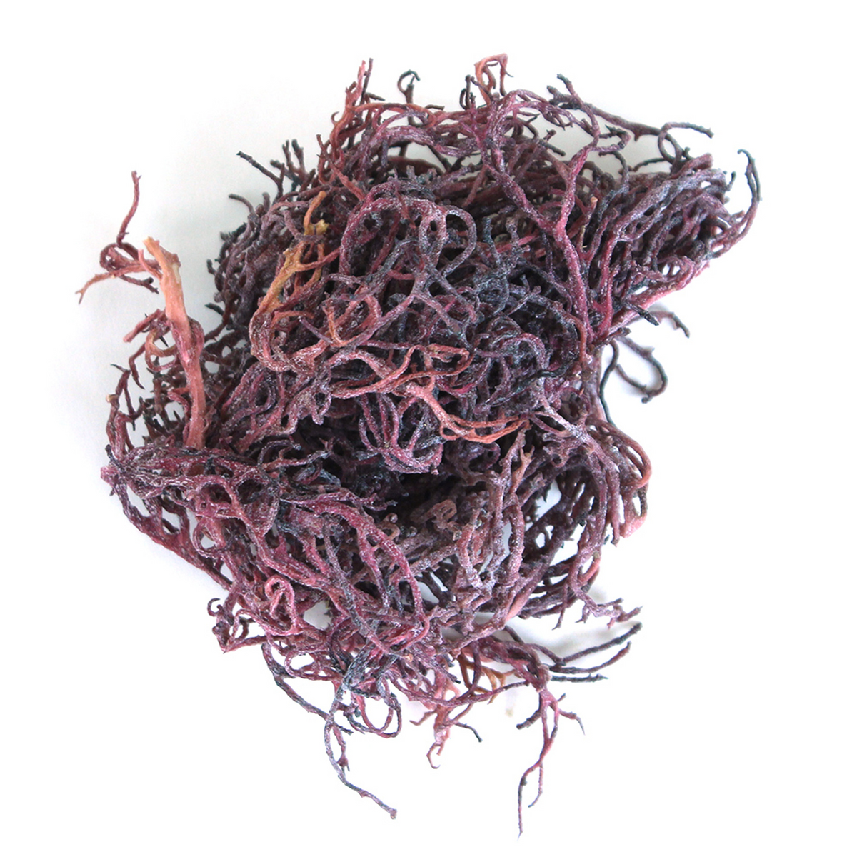 Purple Seamoss (Fresh Ocean-Harvested)