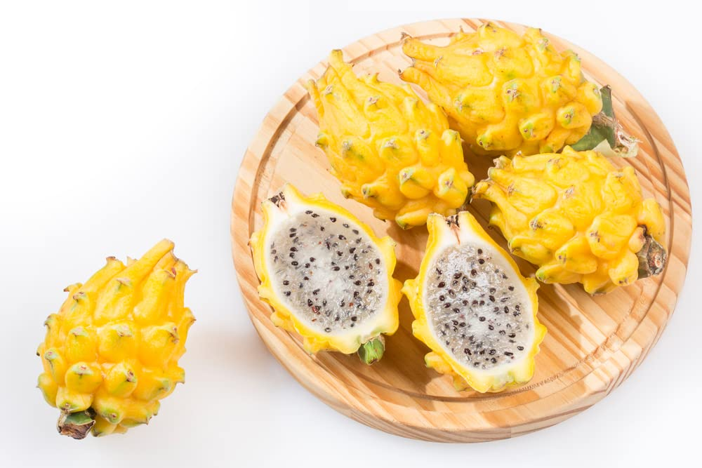 Yellow Dragon Fruit