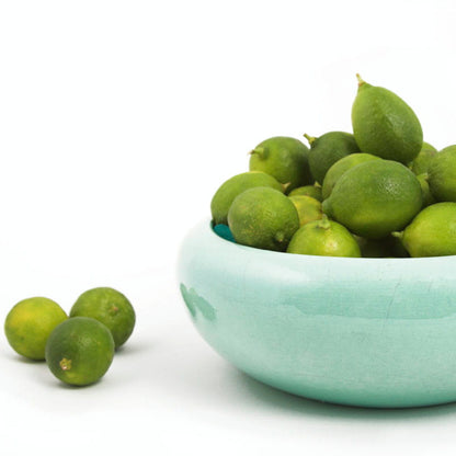 Key Limes (SALE!) – Available to ship to all 50 states