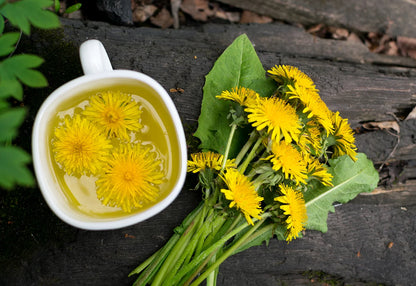 Organic Dandelion Root [Colon Health][Diabetic Aid][Heart & Liver Health][Skin & Bone Health]