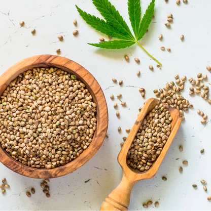 Hemp Seeds
