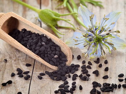 Cold-Pressed Black Seed Oil (Nigella Sativa)