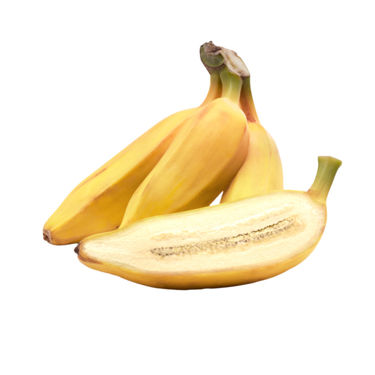 Burro Bananas — Available to Ship