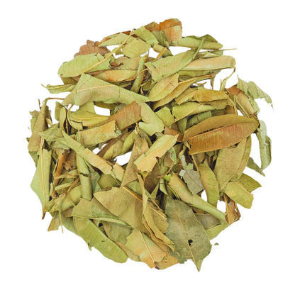 Mango Leaves [Lower Blood Sugar, Improve Heart Health]
