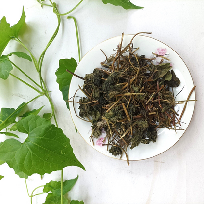 Wild Jamaican Guaco [Respiratory Health][Mucus Detox]