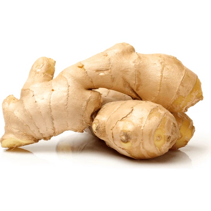 Ginger Root (Fresh Raw Root)