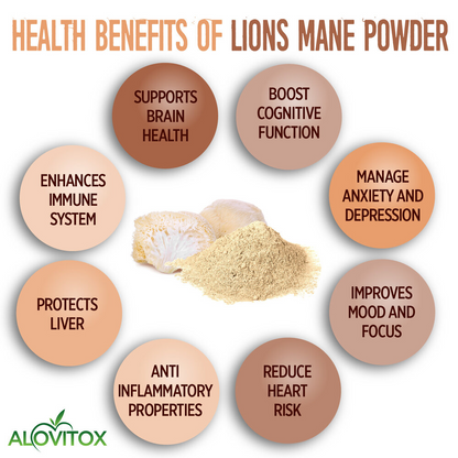 Lion's Mane Mushroom Powder [Brain Booster][Ultimate Memory]