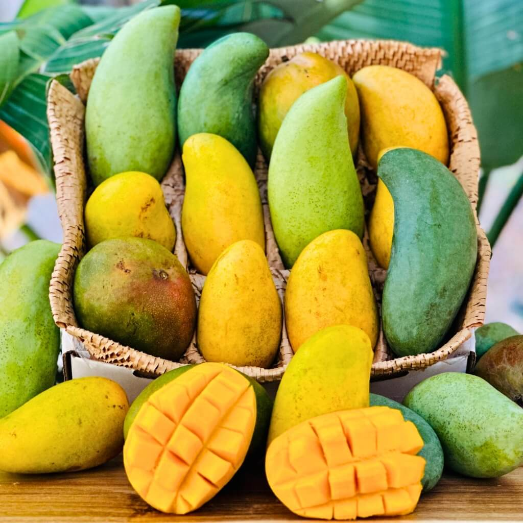 Mango (Random Variants)
