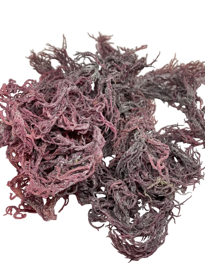 Purple Seamoss (Fresh Ocean-Harvested)
