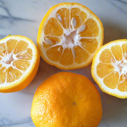 Sour Orange | Seville Orange | Bitter Orange