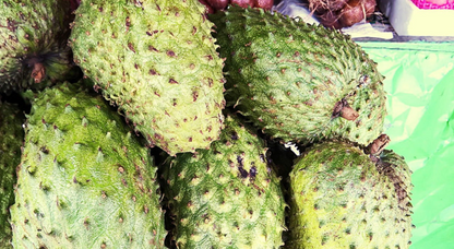 Soursop Box — Limited Pre-Order — (Limited Shipping To: NY, NJ, CT, PA, MA, MD, VA)