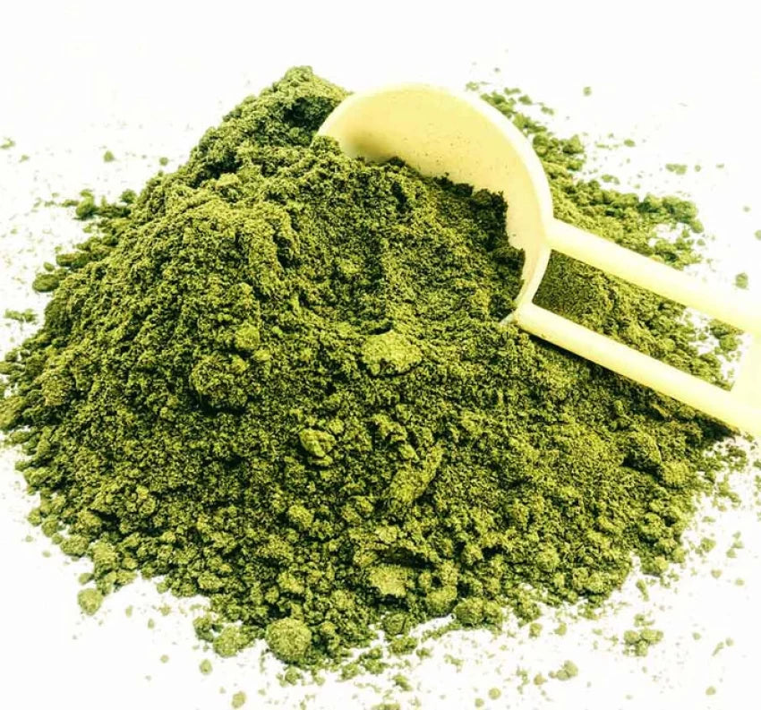 Soursop (Graviola) Leaf Powder