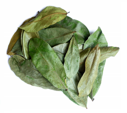 Soursop Leaves [SALE!]