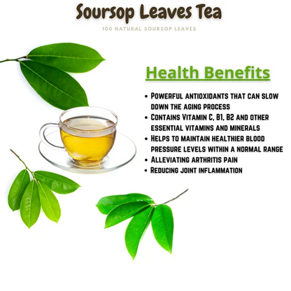 Soursop Leaves [SALE!]