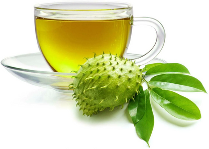 Soursop Leaves [SALE!]