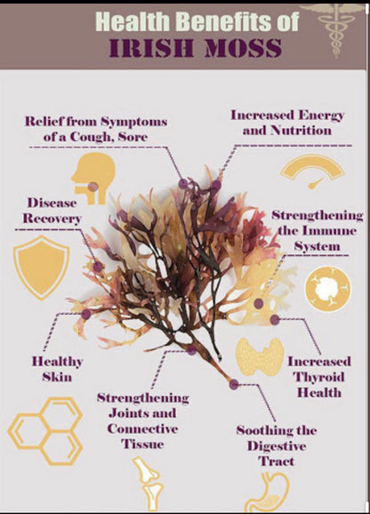 Purple Seamoss — Irish Moss (Chondrus Crispus)