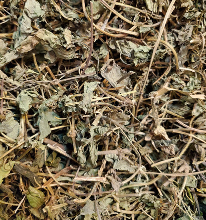 Wild Jamaican Guaco [Respiratory Health][Mucus Detox]