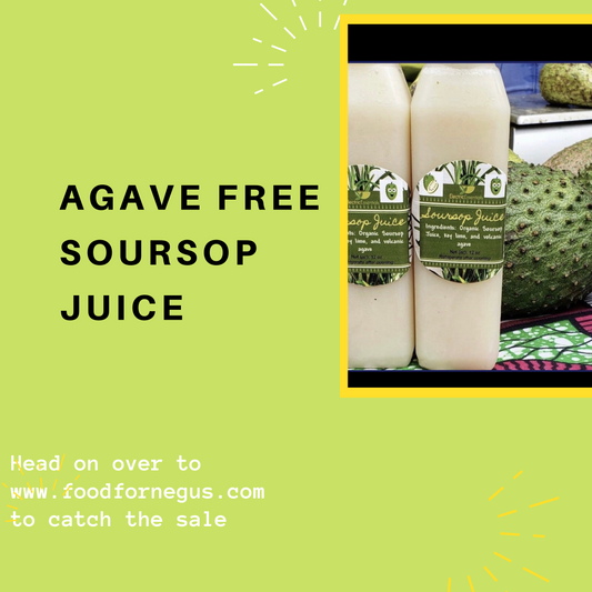 Agave Free Soursop Juice — Dr.Sebi Approved Ingredients