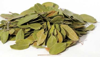 Uva Ursi - [Kidney, Bladder, Arthritis]