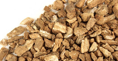 Burdock Root