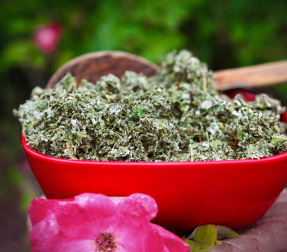 Red Raspberry Leaves [Fertility][Labor Support]