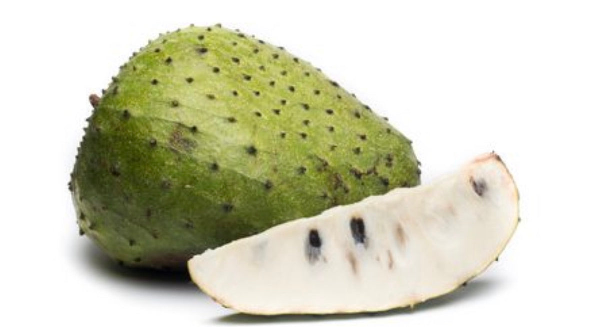 Small & Large Soursop Tester Box — (1-2 Day Shipping To NY, NJ, CT) — (Other States 1-Day Shipping Recommended)