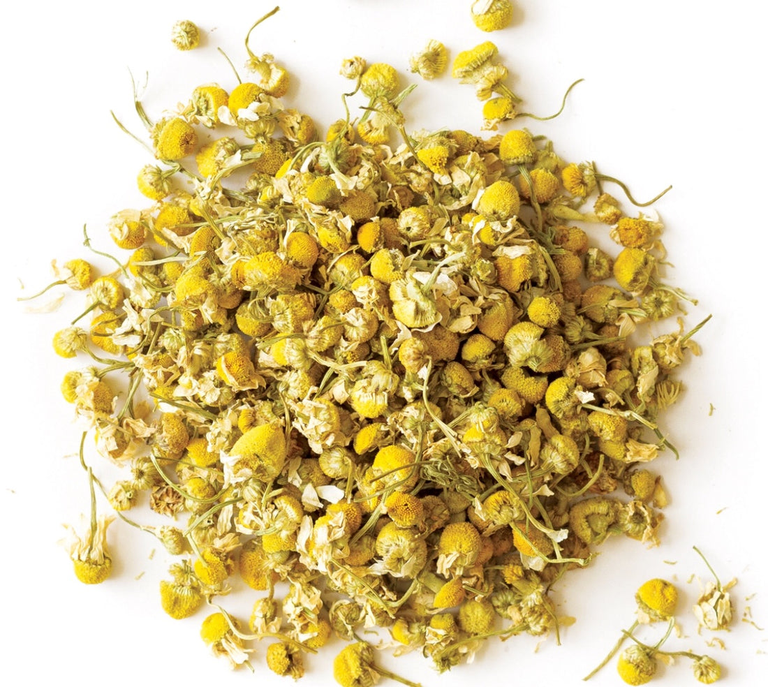 Wild Crafted Chamomile – FoodforNegus