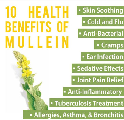 Mullein